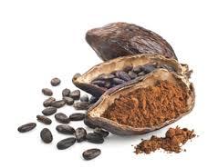 Feve cacao 1